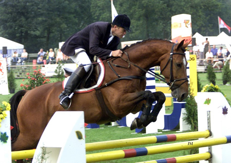 Navarone (Jus de Pomme - Armstrong) jumping